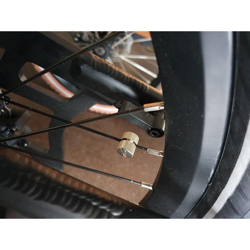Bakfiets spaakmagneet