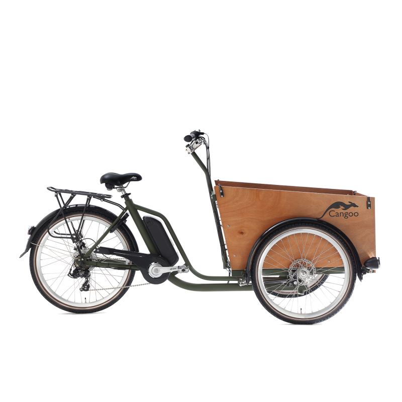 Cangoo Easy Electric cargo bike with door