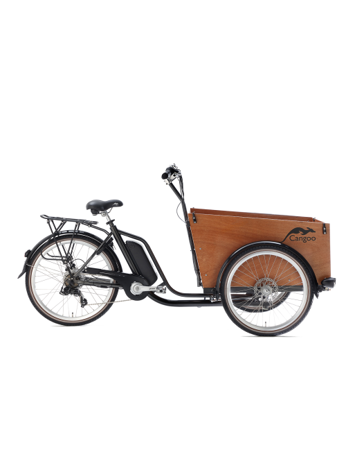 Cangoo Easy Electric cargo bike with door