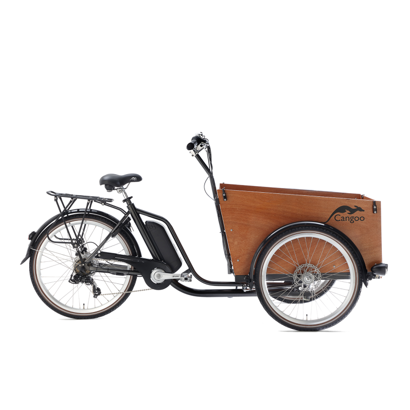 Cangoo Easy Electric cargo bike with door