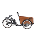 Cangoo Easy Electric cargo bike with door