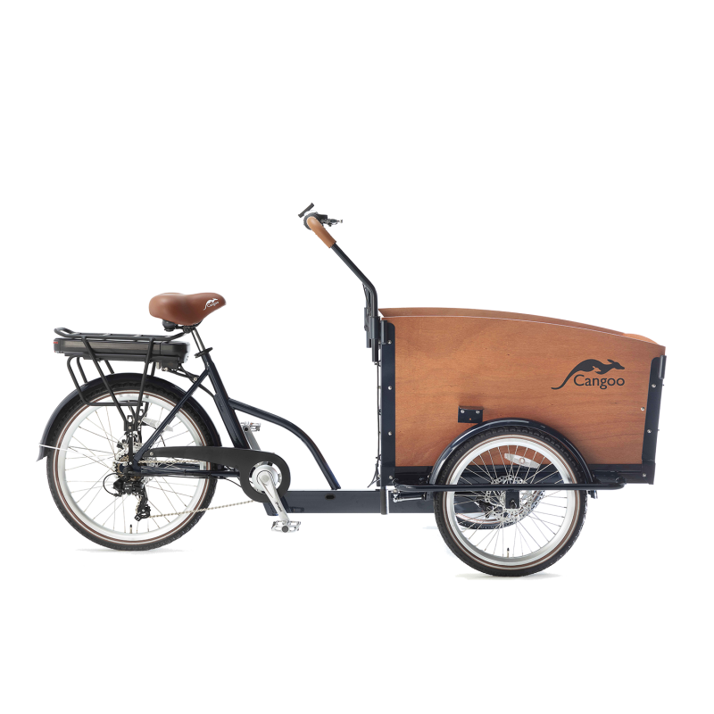 Kindertransportrad Cangoo Groovy Elektro