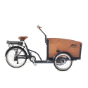 Child cargo trike Cangoo Groovy Electric