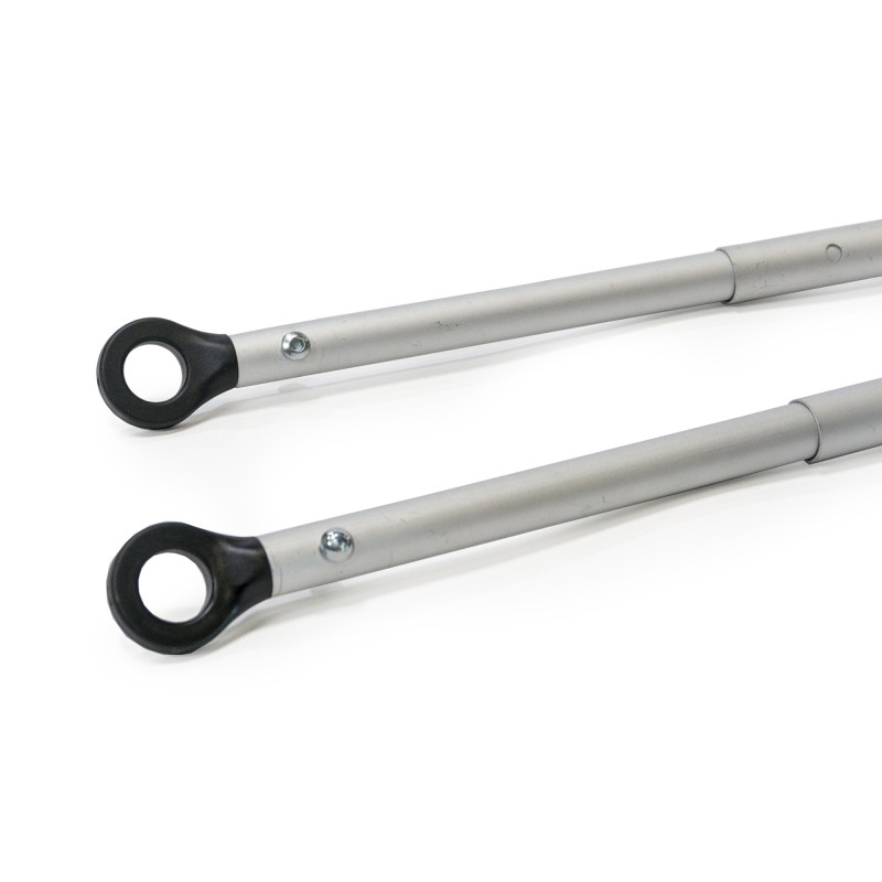 Burley ski Set