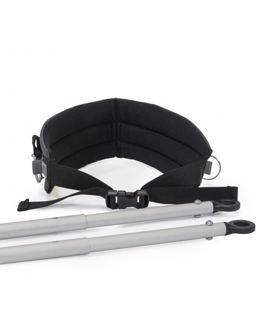 Burley ski Set