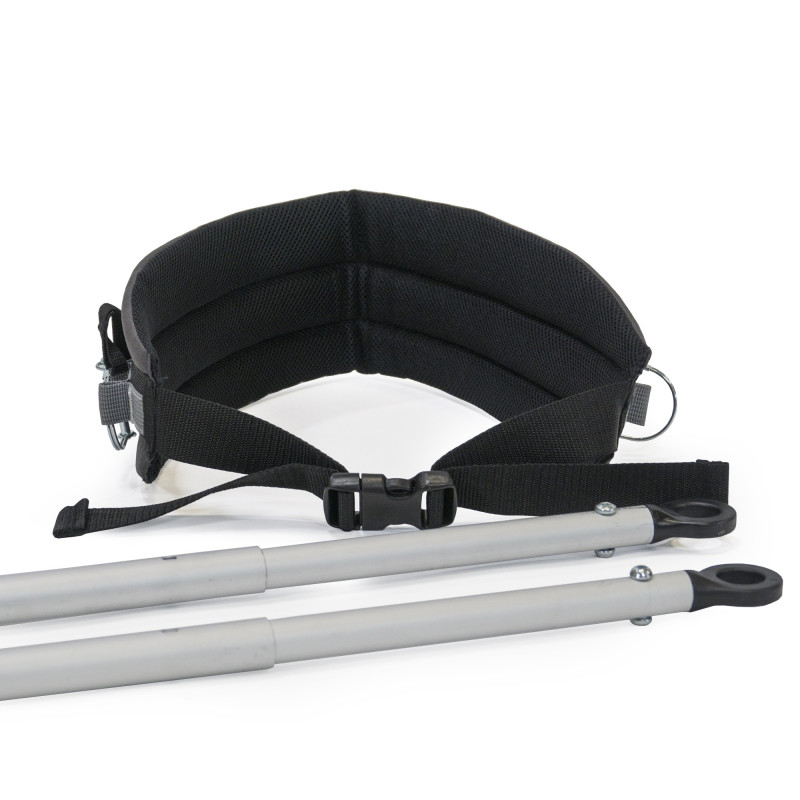 Burley ski Set