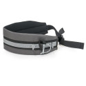 Burley ski Set