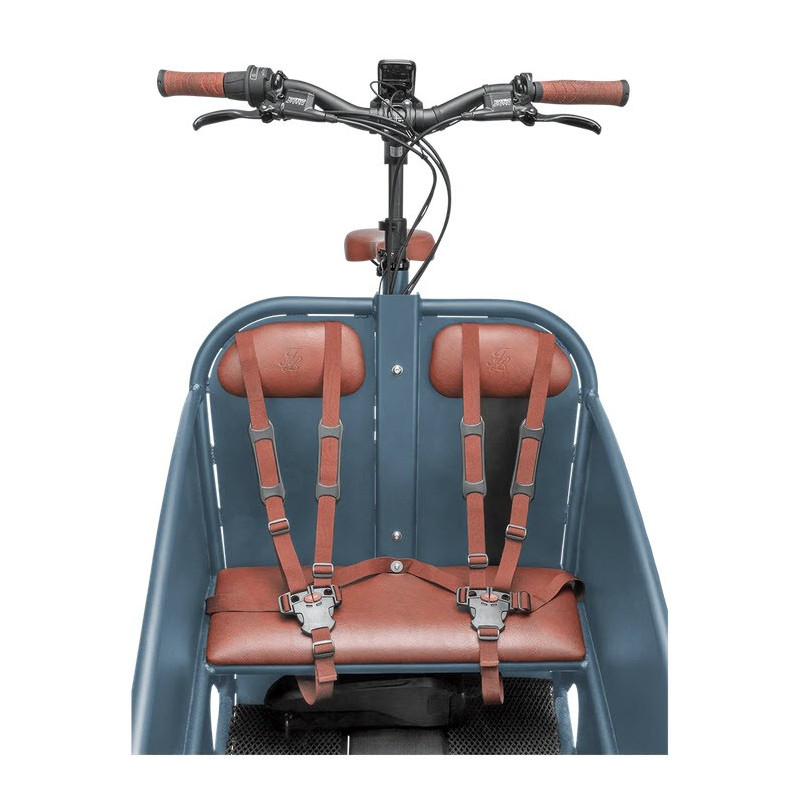 Johnny Loco Twin Cruiser Matte Earl Grey
