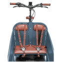 Johnny Loco Twin Cruiser Matte Earl Grey