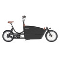 Johnny Loco Twin Cruiser Matte Dutch Delight