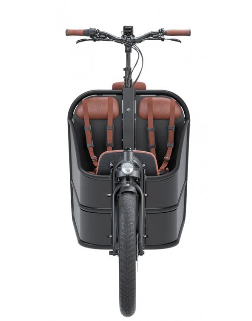Johnny Loco Twin Cruiser Matte Dutch Delight