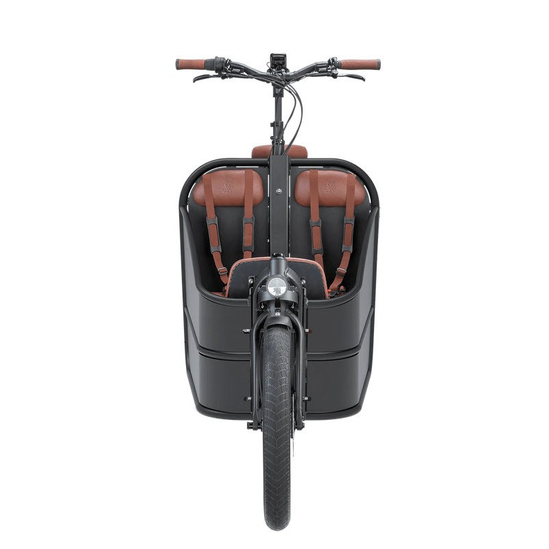 Johnny Loco Twin Cruiser Matte Dutch Delight