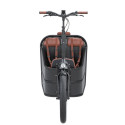 Johnny Loco Twin Cruiser Matte Dutch Delight
