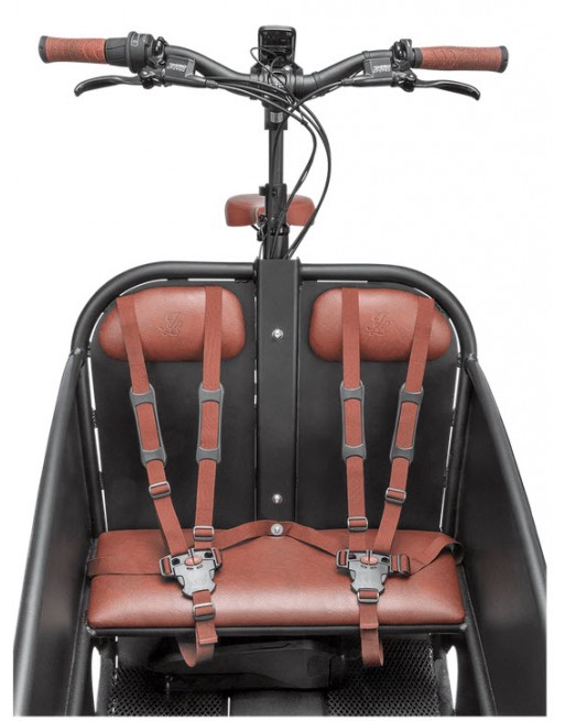Johnny Loco Twin Cruiser Matte Dutch Delight