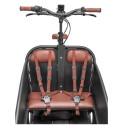 Johnny Loco Twin Cruiser Matte Dutch Delight