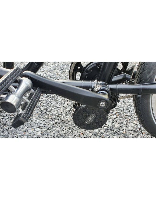 Nihola Rehab Electric child cargo trike