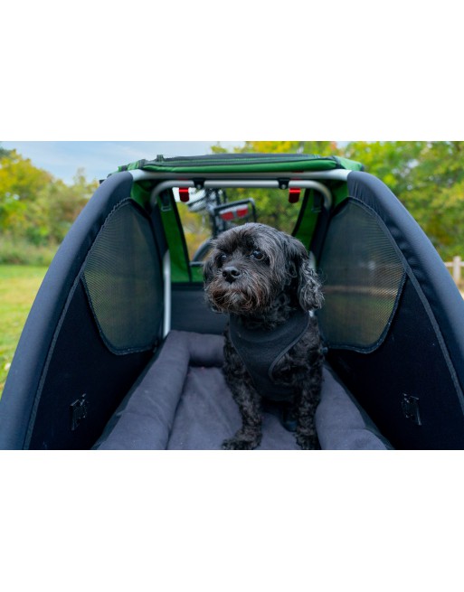 Burley Tailwagon dog bike trailer