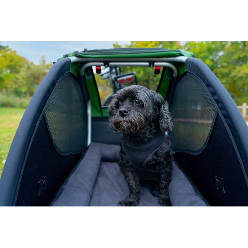 Burley Tailwagon remorque vélo chien