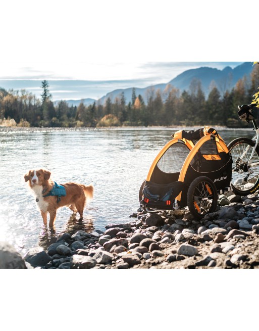 Burley Tailwagon dog bike trailer