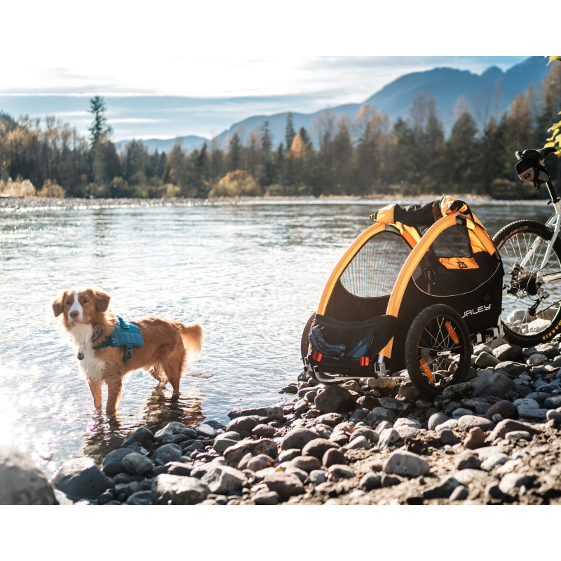 Burley Tailwagon remorque vélo chien