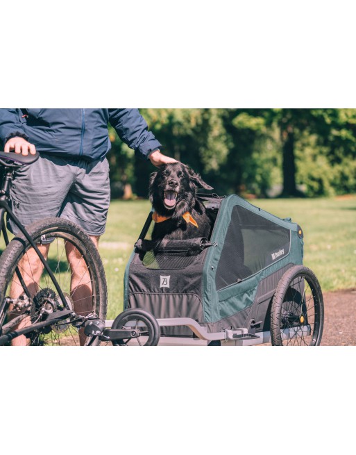 Remorque vélo pour chien Burley Bark Ranger XL