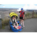 Wike Reha special needs bicycle trailer for adults