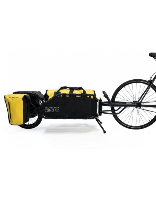 Burley Coho Pannier Set