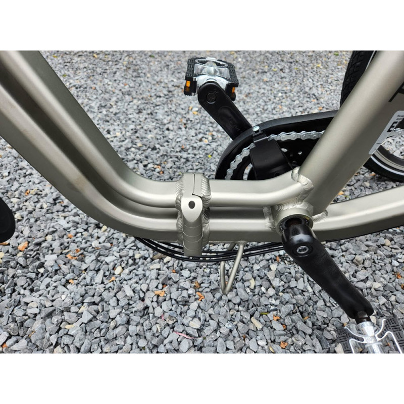 Vogue Tri-vélo elektrische driewieler voor volwassenen