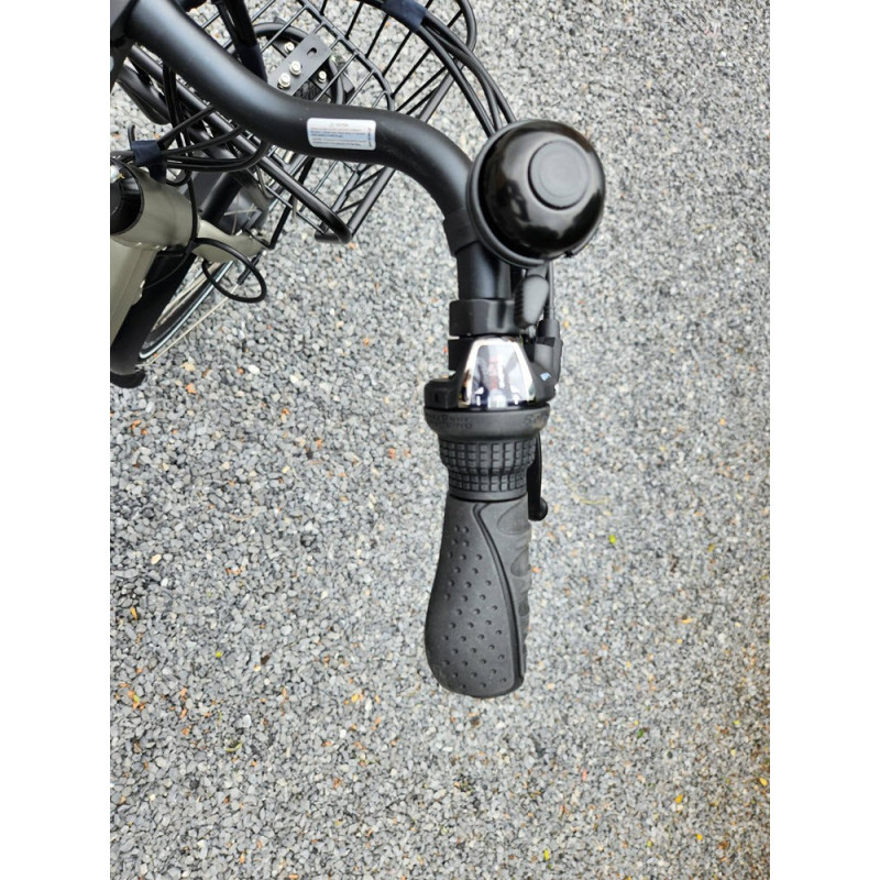 Tricycle électrique Vogue Tri-vélo pour adultes