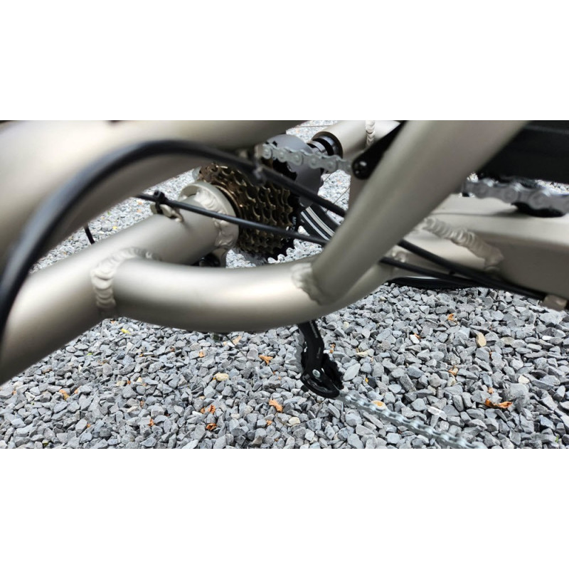 Vogue Tri-vélo elektrische driewieler voor volwassenen