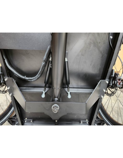 KidsCab Cares 4 bakfiets - Gates Carbon Drive