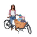 Babboe Mini Mountain cargo bike