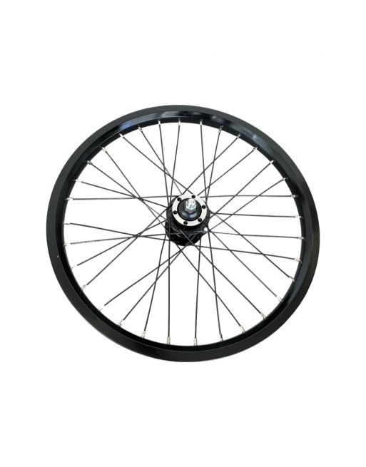Dolly bikes 20 inch front wheel