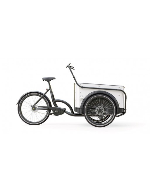 Vélo cargo électrique KidsCab Royal Deluxe 3