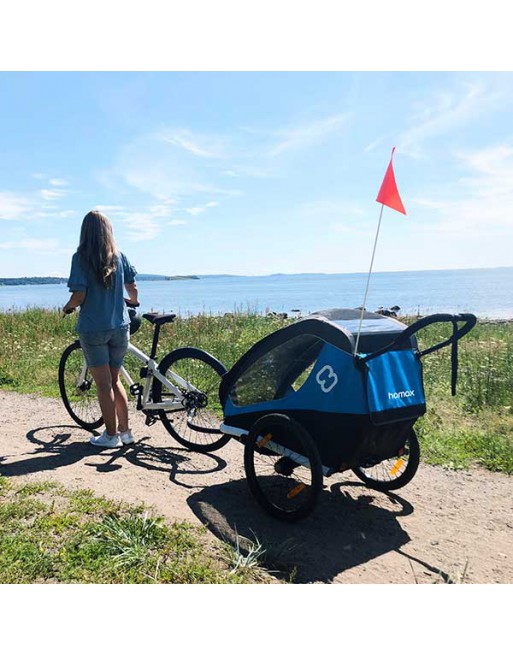Hamax Traveller Twin fietskar