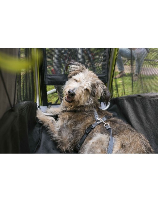 Croozer Dog XL Mikke Hundeanhänger – Mit Croozer AirPad® Federung