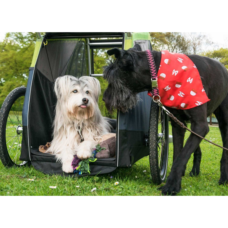 Croozer Dog XL Mikke Hundeanhänger – Mit Croozer AirPad® Federung