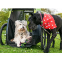 Croozer Dog XL Mikke Hundeanhänger – Mit Croozer AirPad® Federung