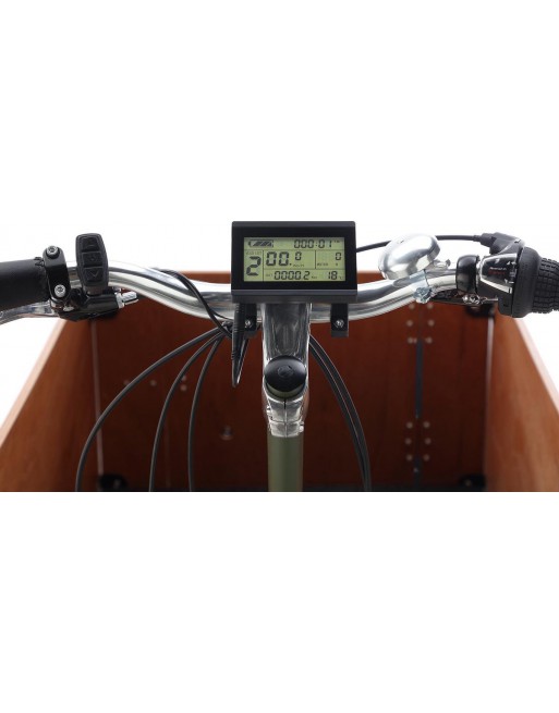Cangoo Easy Electric cargo bike with door