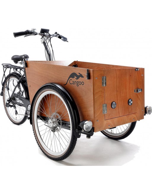 Cangoo Easy Elektrisches Lastenfahrrad mit Tür
