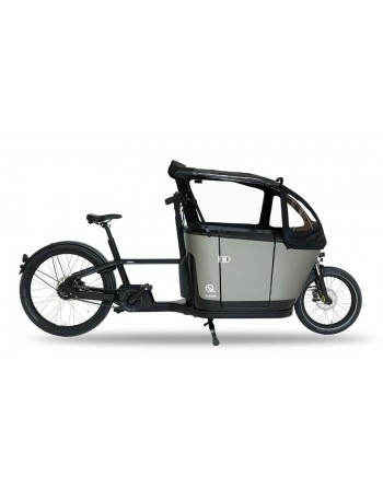 Regentent Carqon Classic
