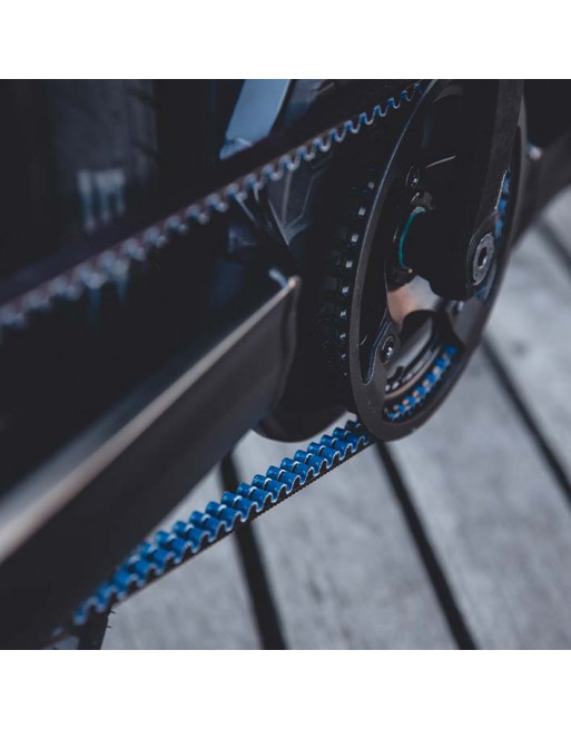 Carqon Cruise - Enviolo Hub and Belt Drive