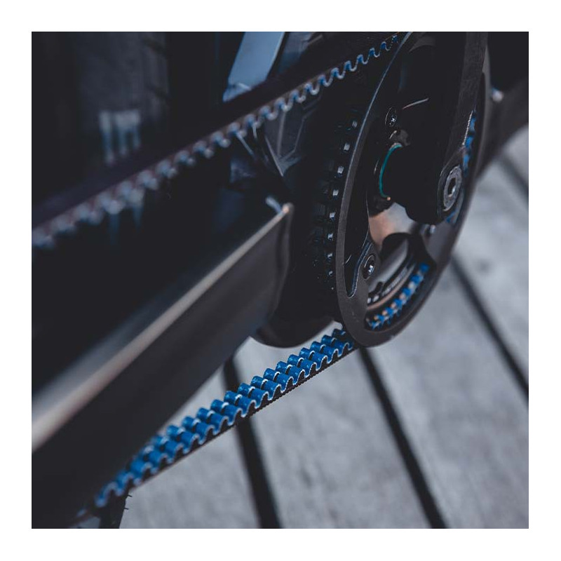 Carqon Cruise - Enviolo Hub and Belt Drive