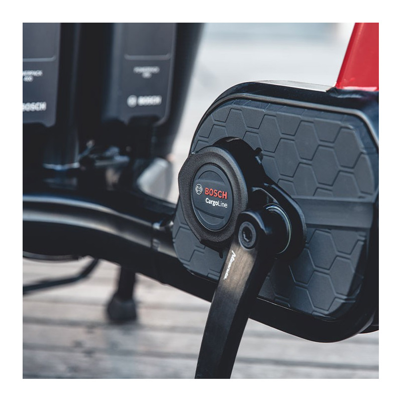 Carqon Cruise - Enviolo Hub and Belt Drive