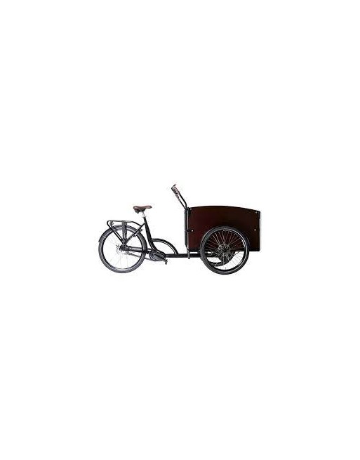 KidsCab Cares Li-ion 42V 2A (oud model)
