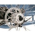 Johnny Loco E-Bike Cargo Earl grey 5.3 kindertransportrad