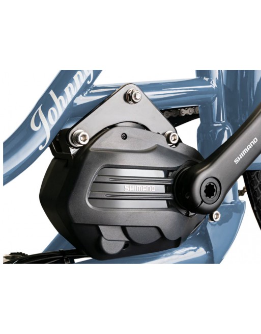 Johnny Loco E-Bike Cargo Earl grey 5.3 kindertransportrad