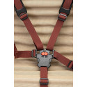 Johnny Loco E-Bike Cargo Earl grey 5.3 kindertransportrad