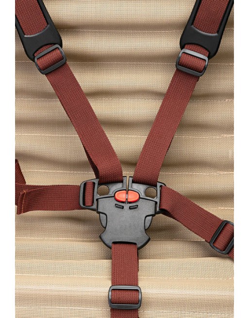 Johnny Loco E-Bike Cargo Dutch Delight 5.3 kindertransportrad
