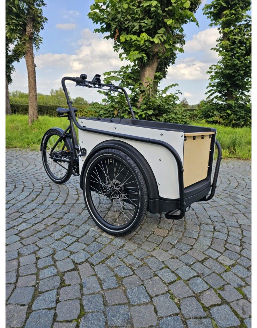 Vélo cargo électrique KidsCab Royal Deluxe 3